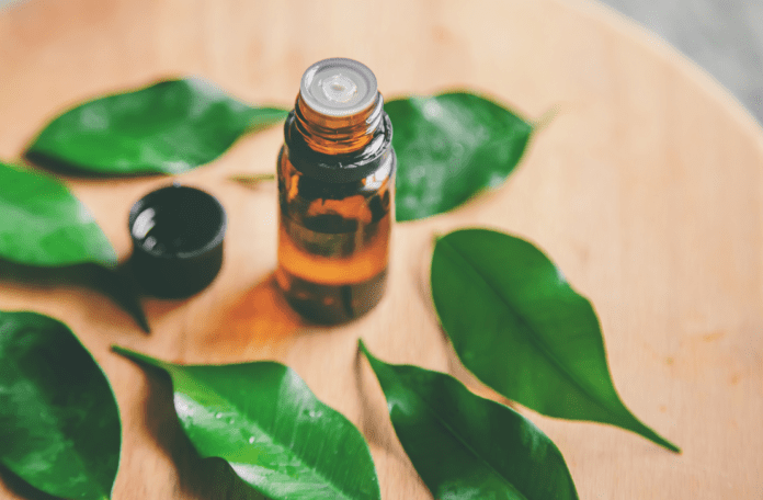 Top 3 tea tree oil products recommended by our community