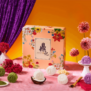 Assortment of Premium Snow Skin Mooncakes – 6 pcs in Designer Mooncake Box