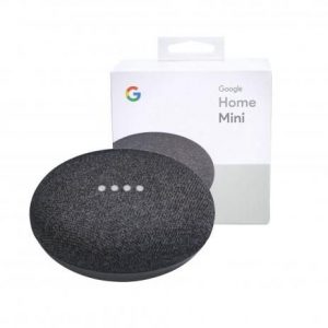 Bring Connection to Her Fingertips – Google Home Mini