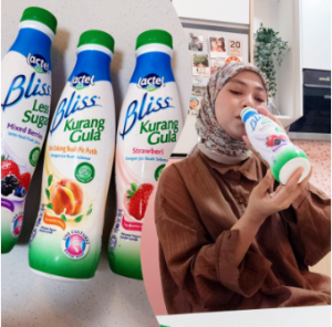 Lactel Yogurt Ranges